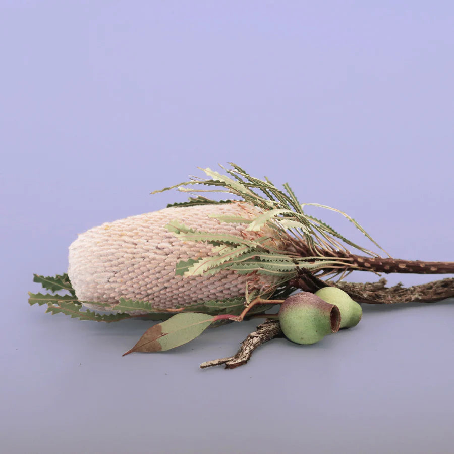 Cambridge Jar; Australian Sandalwood