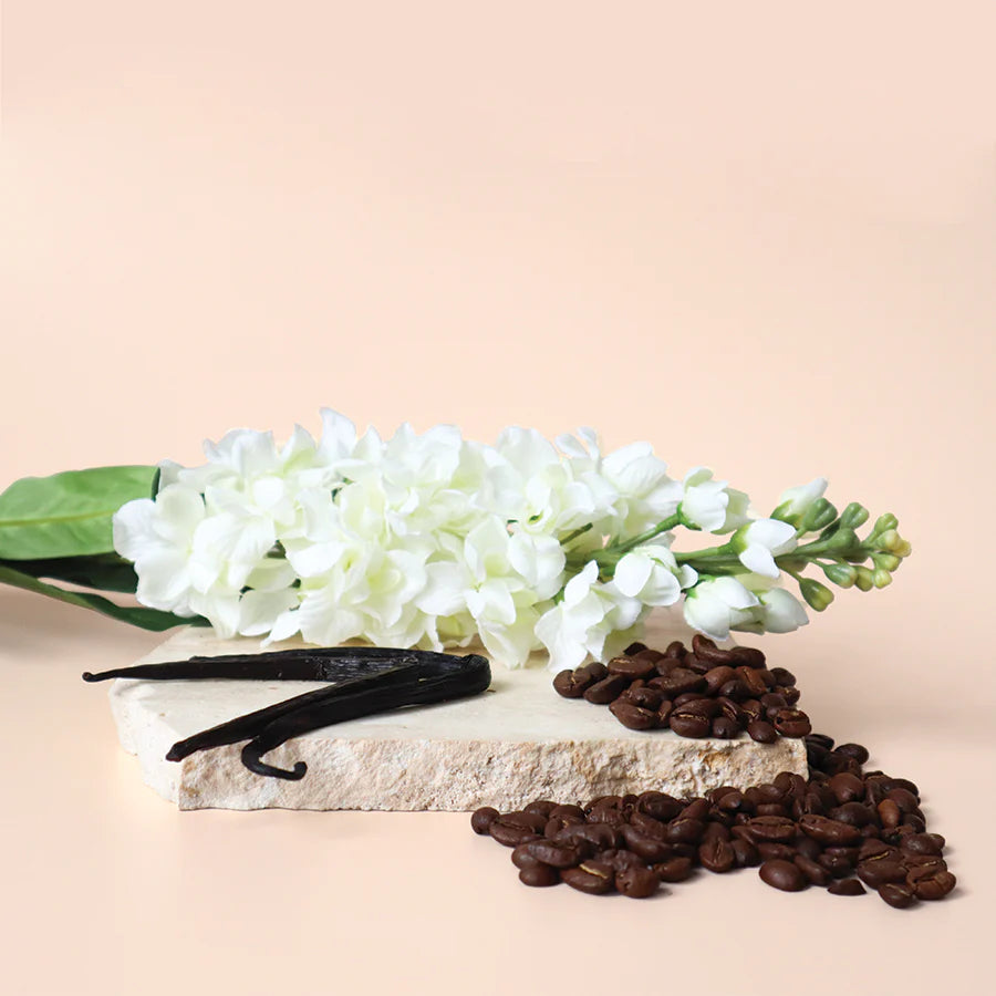 Cambridge Jar; Black Opium Type