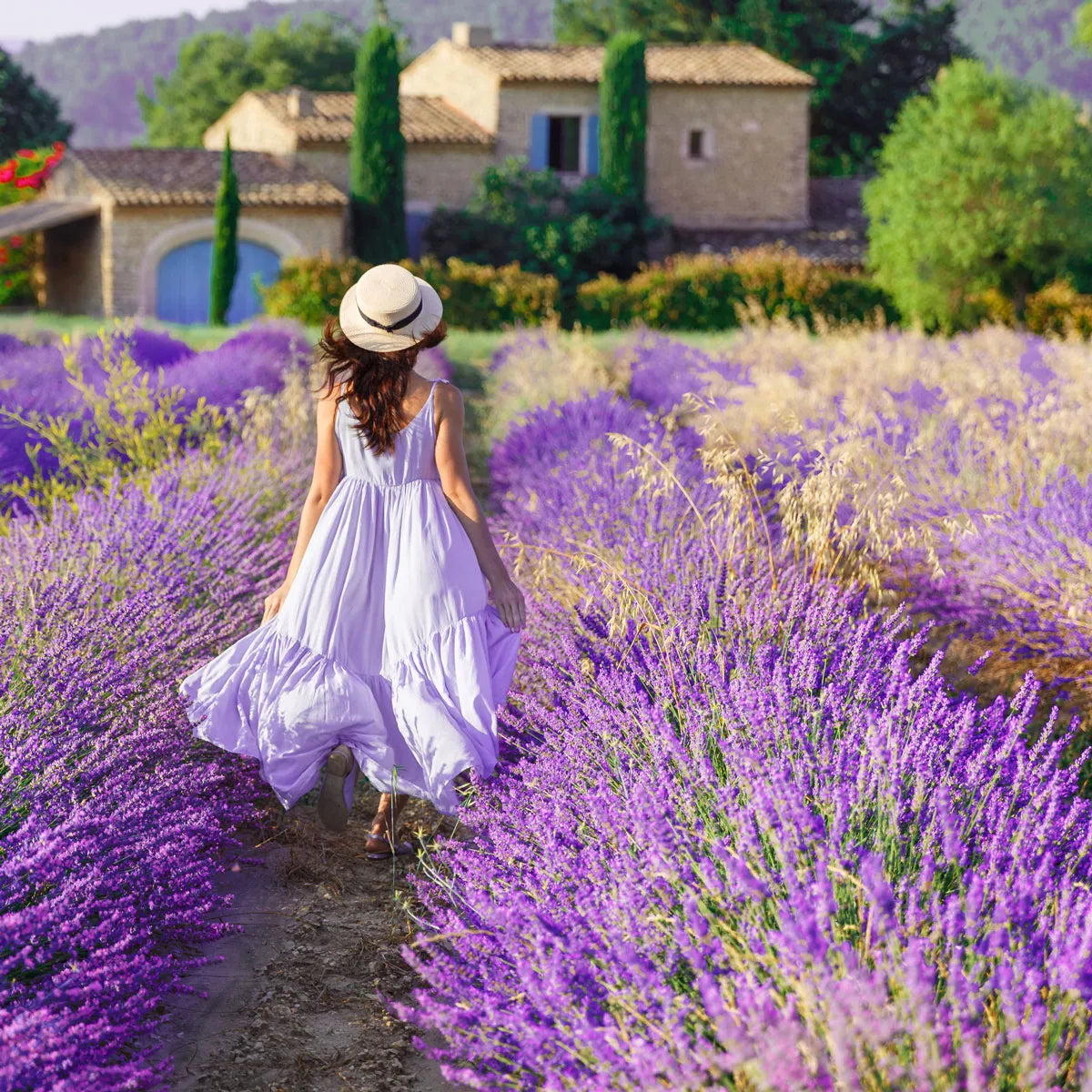 Danube Large Jar; French Lavender