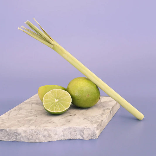Danube Large Jar; Lemongrass & Persian Lime