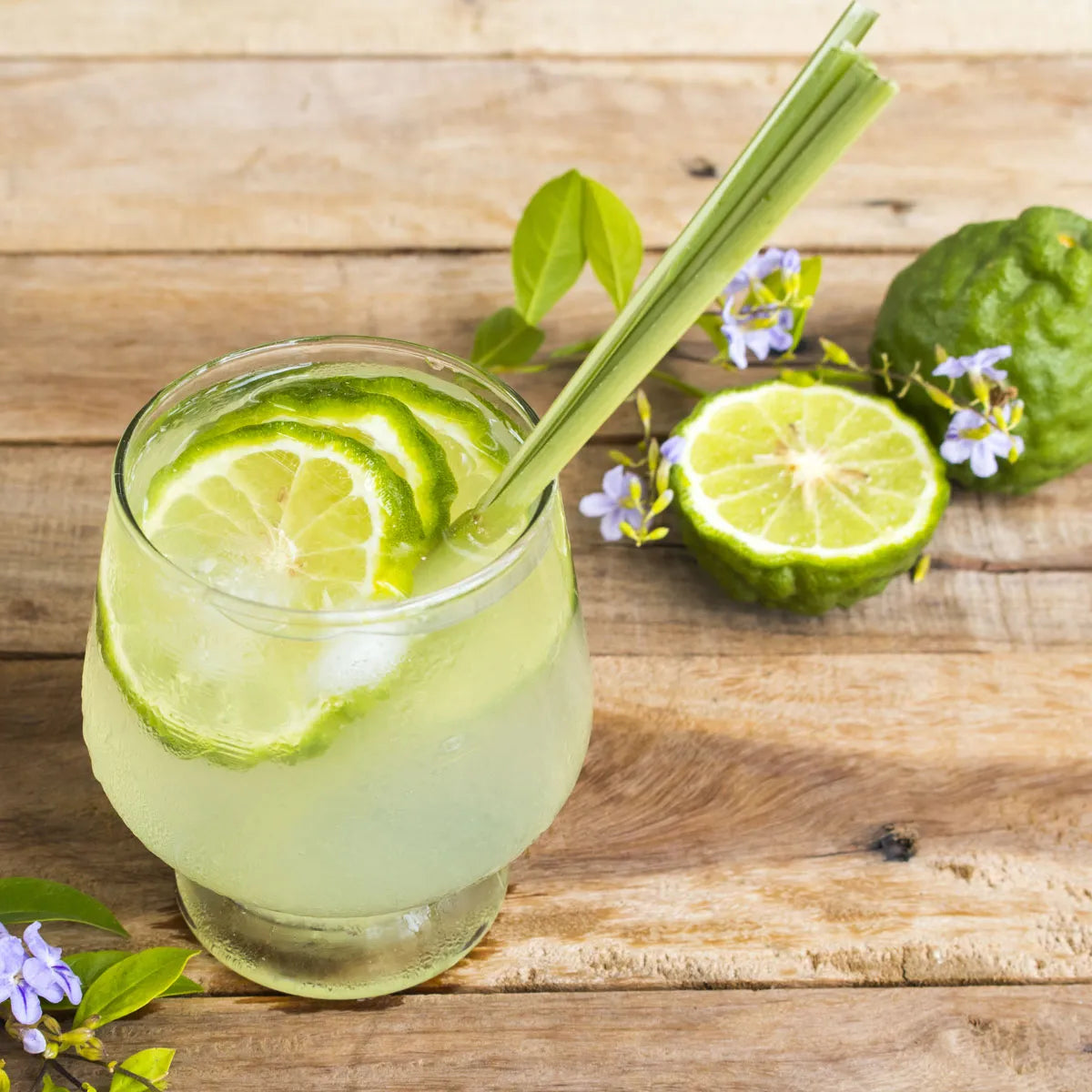 Danube Medium Jar; Lemongrass & Persian Lime