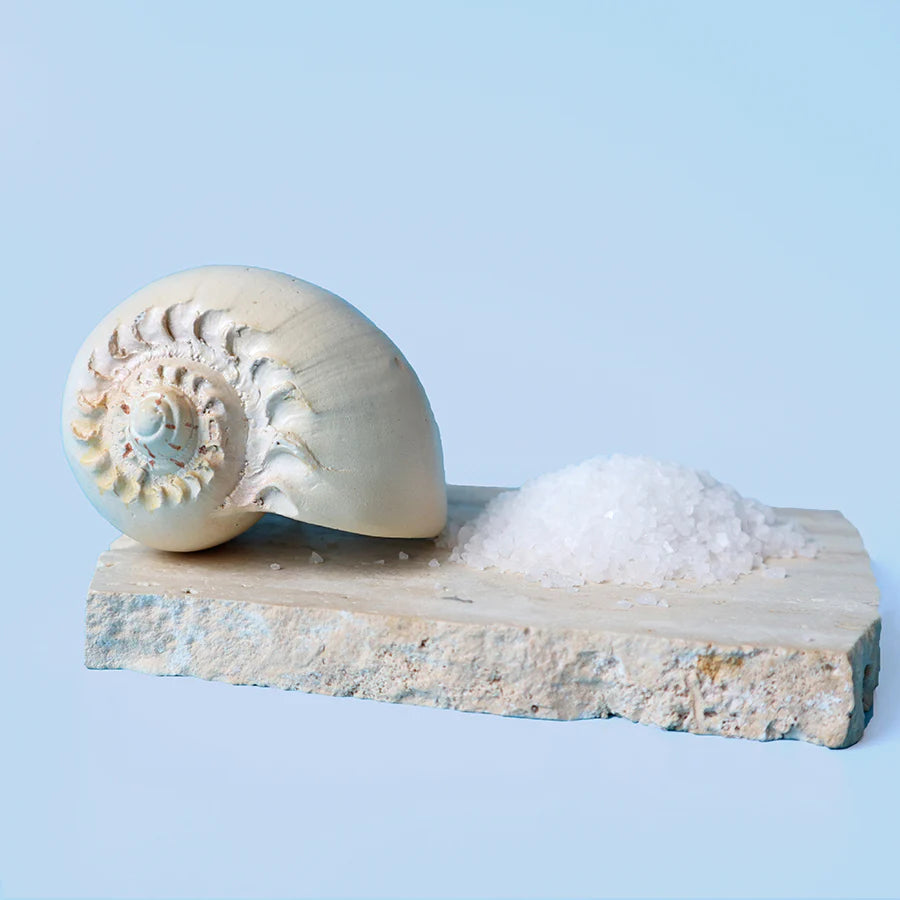 Danube Medium Jar; Ocean Mist